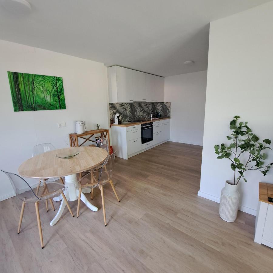 Ferienwohnung Muota Muotathal Zewnętrze zdjęcie
